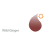 Kép 2/3 - ginger.png
