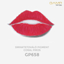 Kép 3/3 - Gamp Coral Piros pigment GP658 15ml