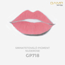 Kép 3/3 - Gamp NudeRose pigment GP718 15ml
