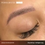 Kép 3/5 - Perma-Blend-Luxe-Microblading-Pro-Set-Clay-All-Day-All-Night-Long-pigment