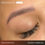 Kép 4/7 - Perma-Blend-Luxe-Microblading-Pro-Set-Clay-All-Day-All-Night-Long-pigment