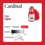 Kép 3/6 - Perma Blend Luxe Cardinal smintetoválás 15ml